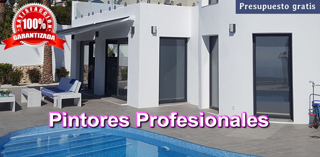 Pintores Profesionales Móvil