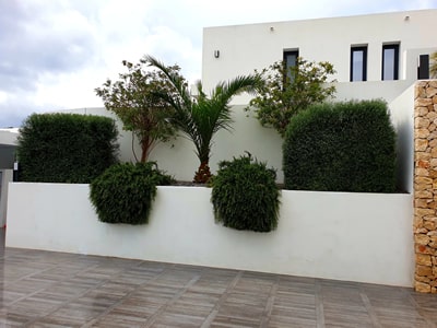 Limpieza de Jardines en Benissa