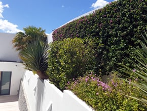 Limpieza de Jardines en Javea